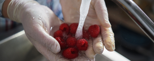 ¿Es necesario lavar las frutas y verduras antes de consumirlas?
