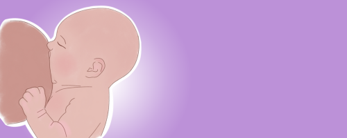 ¿Cómo es el buen agarre del seno?