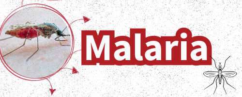 La malaria se puede prevenir y curar